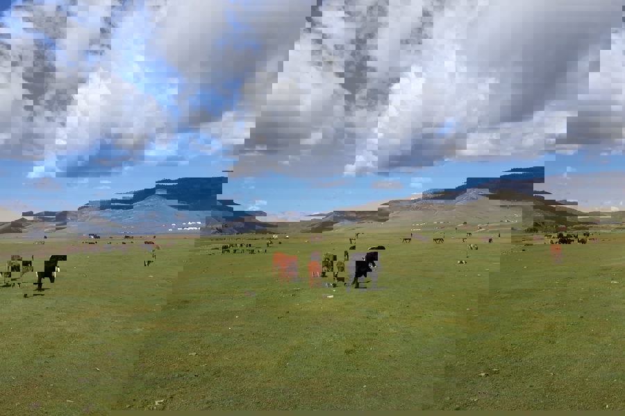 Obrázek 20170918_122729.jpg