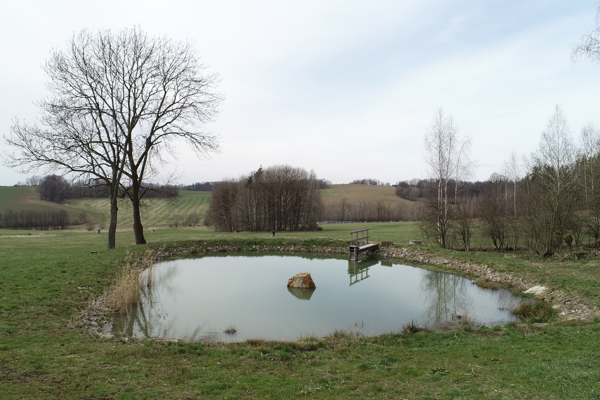 Ilustrační obrázek článku 'Revitalization of the Na Horách pond'