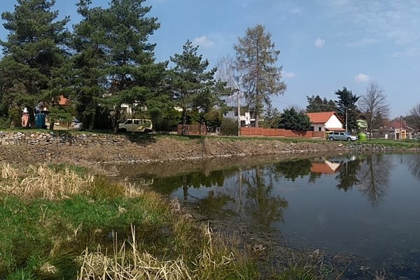 Ilustrační obrázek článku 'Restoration of the pond in Hůrka'