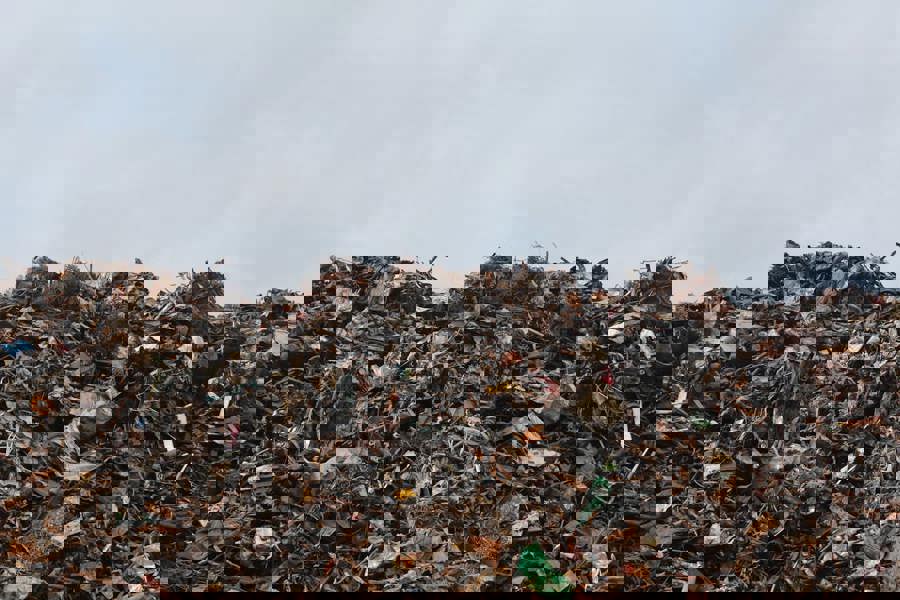 Image pexels-emmet-35167-128421.jpg