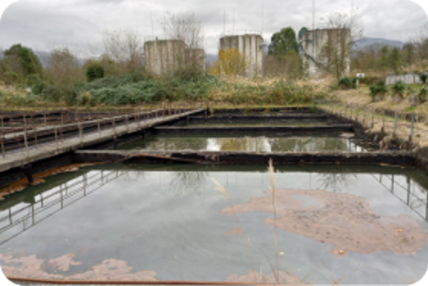 16 bioremediation centers