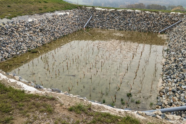 Ilustrační obrázek článku 'Wetland in Klokočná'